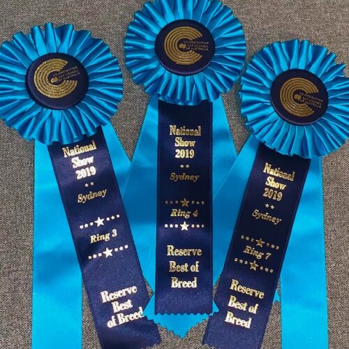 Show Events - Ribbon